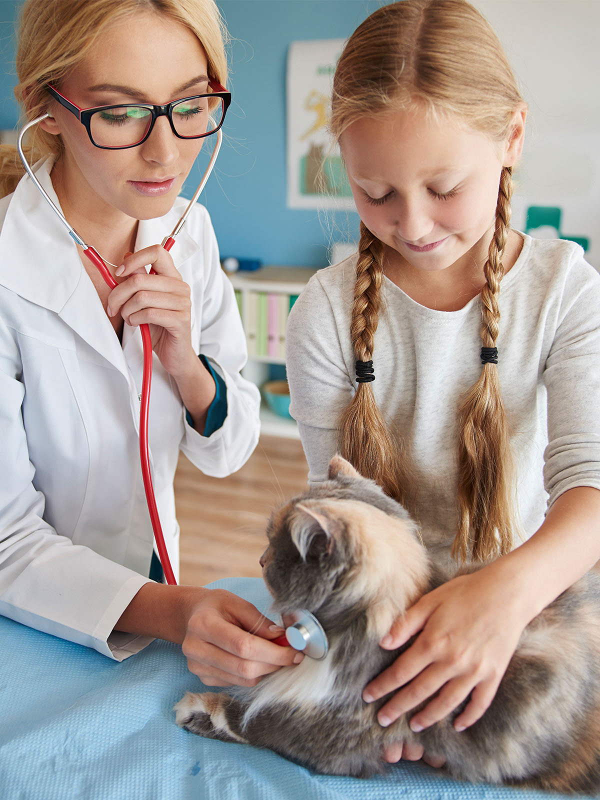 a vet examining a cat held by a girl