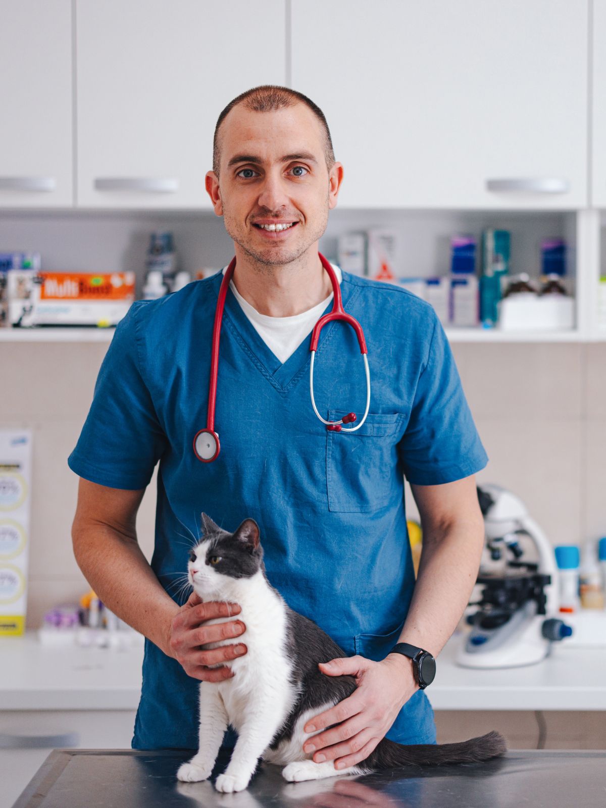 a vet in scrubs holding a cat on an examination table