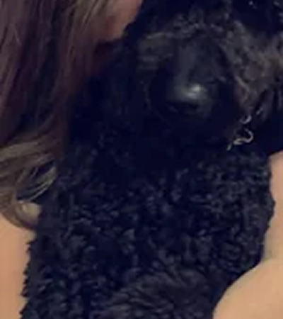 alexis
