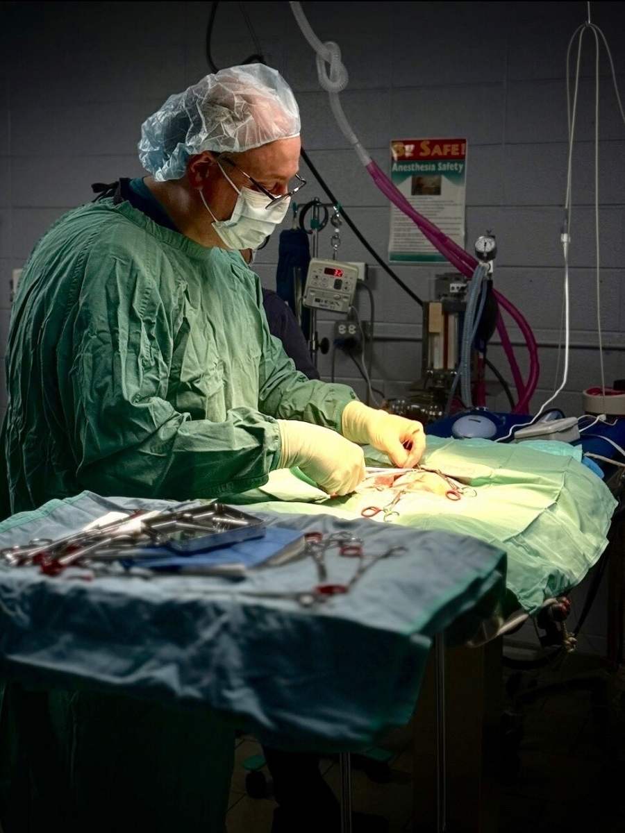 Expectation Before, During, and After Surgery