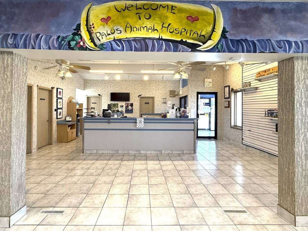 Welcome to Palos Animal Hospital